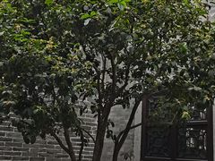 -碧江金楼
