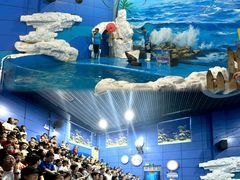 -左海海底世界
