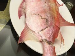 -吴记富苑(朝阳店)