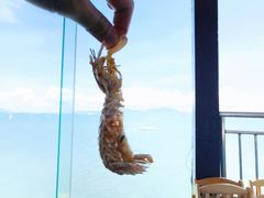 -七鲜渔港美食餐厅(巽寮湾海景店)