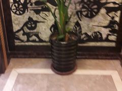 -大秦瓦罐(光谷大街店)