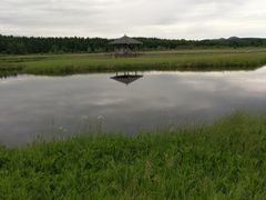 -塞罕坝国家级自然保护区