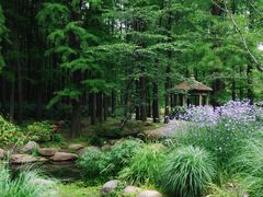 -上海共青森林公园