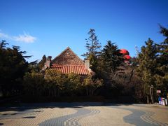 景点-信号山公园