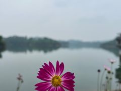-红花湖景区