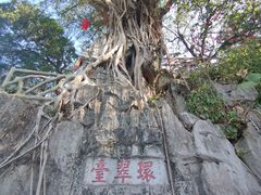 -星湖旅游景区七星岩