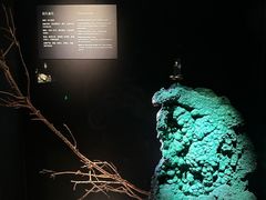 -深圳珠宝博物馆