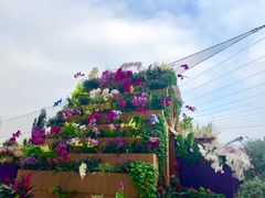 -重庆市江北嘴中央商务区中央公园