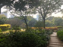 -晓港公园