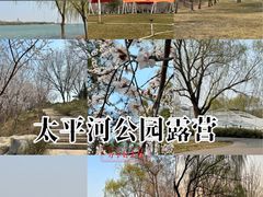 -太平河公园