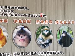 -太原动物园