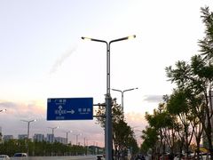 -金塔傣乡·云南德宏民族特色菜·傣味手抓饭(新亚洲店)