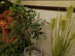-汉宫汤泉汗蒸洗浴(五四广场店)