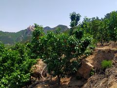-太和山风景区