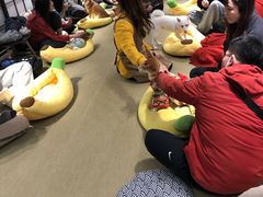 -逗柴咖啡屋·狗咖猫咖宠物桌游