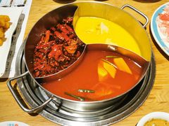 -青瓷火锅料理(西单大悦城店)