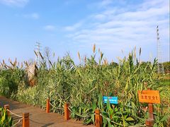 -那考河湿地公园