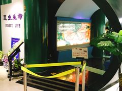 -上海昆虫博物馆