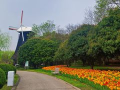 -上海鲜花港