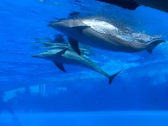 -横琴湾水世界