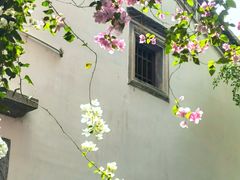 -深圳国际园林花卉博览园