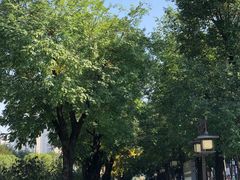 -木塔寺遗址生态公园