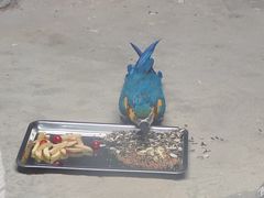 -武汉动物园