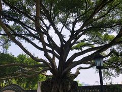 -墨池公园