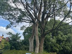 -上海月湖雕塑公园