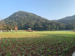 -广州市石门国家森林公园