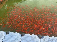 -北陵公园