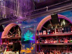 -Darling Queen·Mini·Live·House