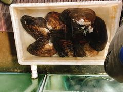 -八仔大富楼·河鲜(西江店)