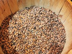 -歌斐颂巧克力小镇