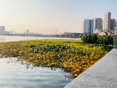 -大小河街