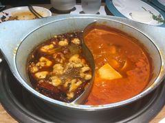 -青瓷火锅料理(西单大悦城店)