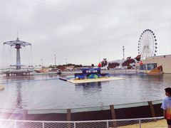 -秦皇岛乐岛海洋王国