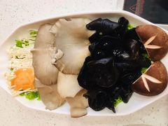 -蝎王府羊蝎子(北大地店)