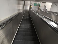 -东方体育中心(地铁站)