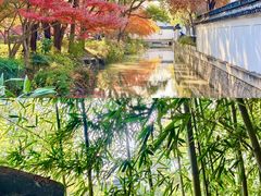 -秋霞圃