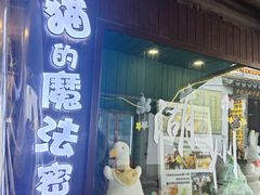 -猫的魔法密林(衣裳街店)