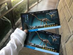 -自贡恐龙博物馆