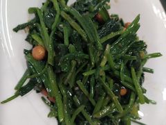 -听涛雅苑百味饺子老家菜馆