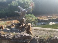 -宁波野生动物园