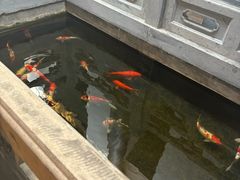 -鲤院·新中式美学·庭院餐厅(夫子庙店)