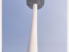 -辽宁电视塔