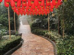 -天目湖涵田半山温泉