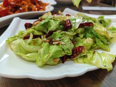 手撕包菜-鲁前海沿儿