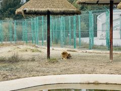 -鄂尔多斯野生动物园