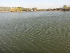 -东郊湿地公园